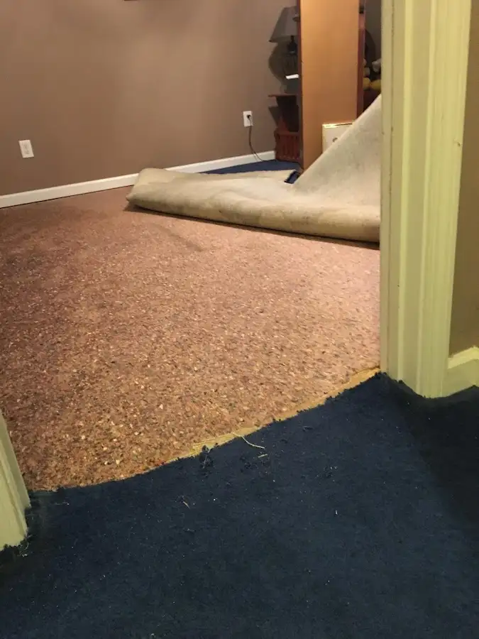 Carpet pad removal revealing water damage during Drying & Dehumidification in Montague