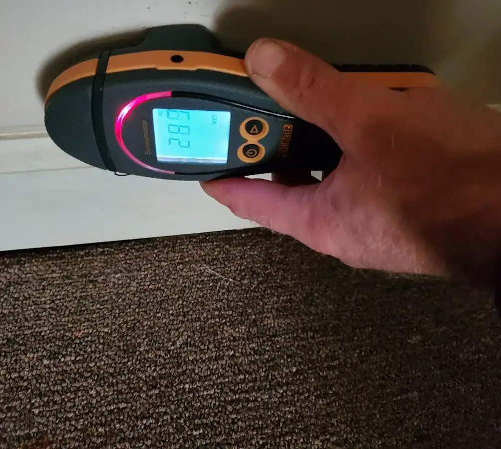 Moisture detection at baseboard during Sewage Cleanup & Sanitation in Montague